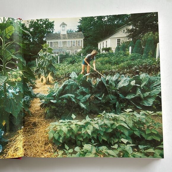 Martha Stewart Entertaining 1982 Hardcover Book Cookbook - Picture 10 of 14